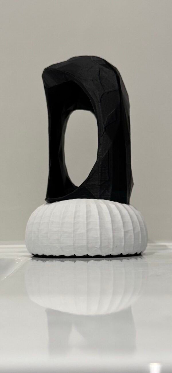 3D Printed Abstract Vase Black & White