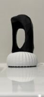 3D Printed Abstract Vase Black & White
