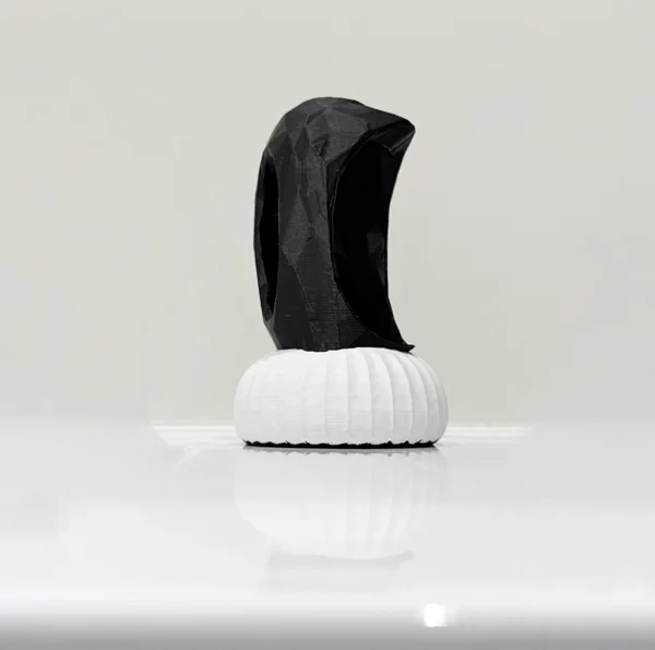 3D Printed Abstract Vase Black & White