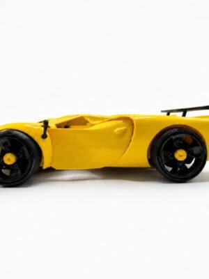 Printnests3d_3D Printed Car